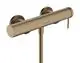 Hansgrohe-HG-Tecturis-S-Einhebel-Brausemischer-Aufputz-Brushed-Bronze-73622140 gallery number 1